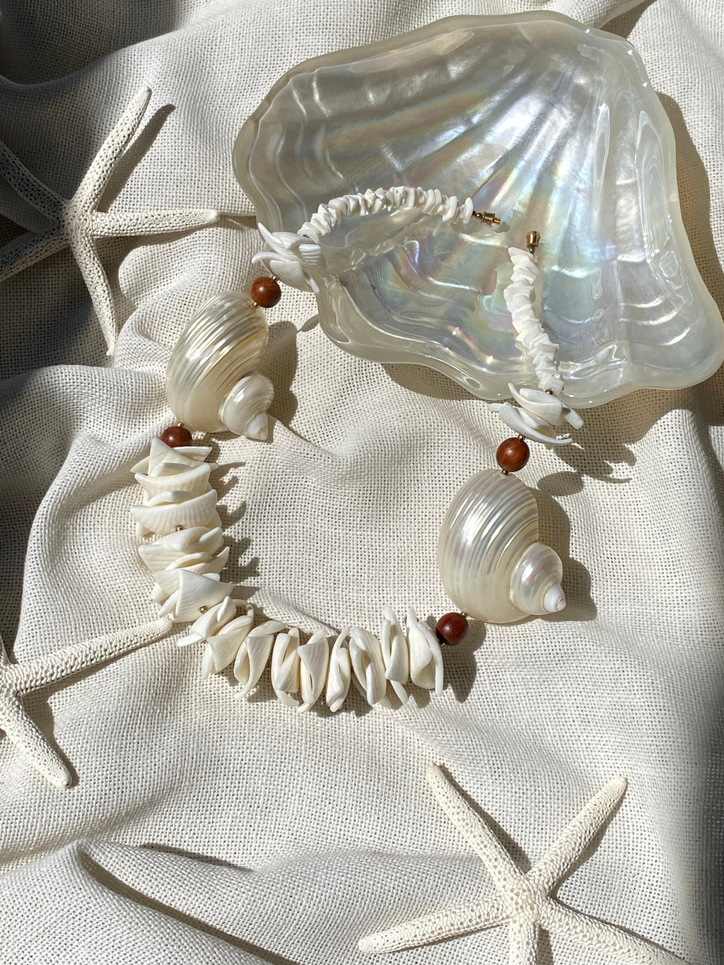 Conchiglia di Teti collana in vere conchiglie