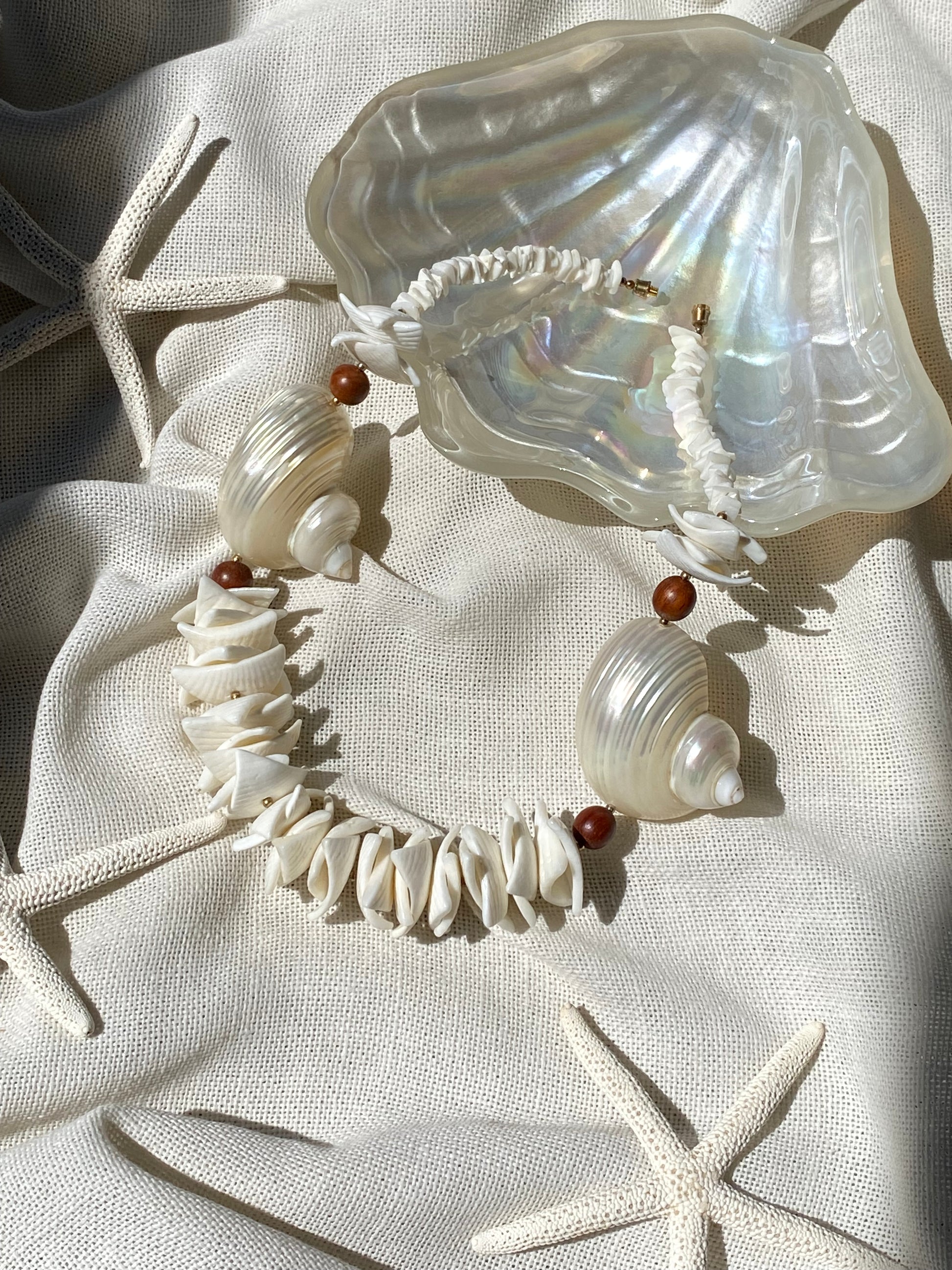 Conchiglia di Teti collana in vere conchiglie