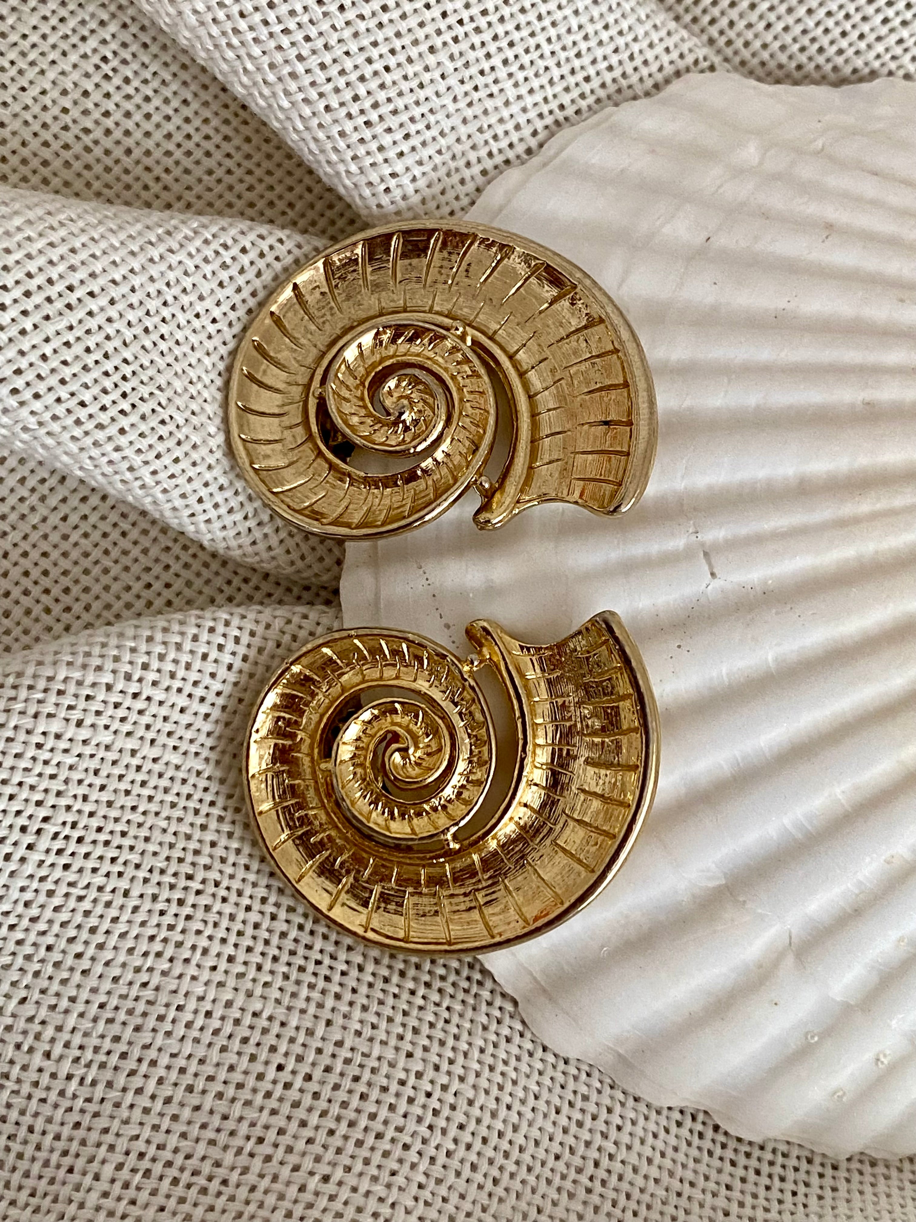 Ammonite orecchini a clip a conchiglia