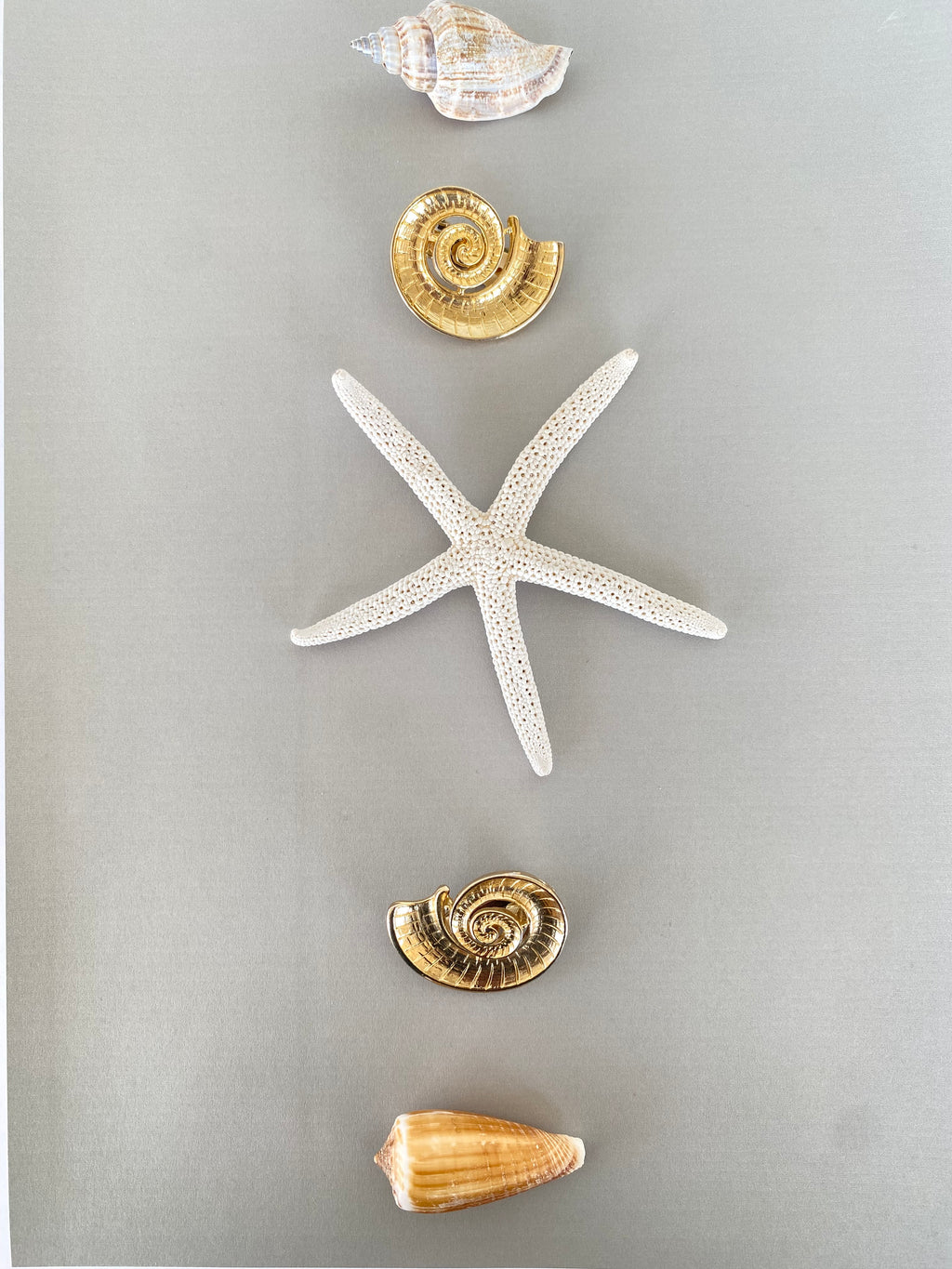 Ammonite orecchini a clip a conchiglia