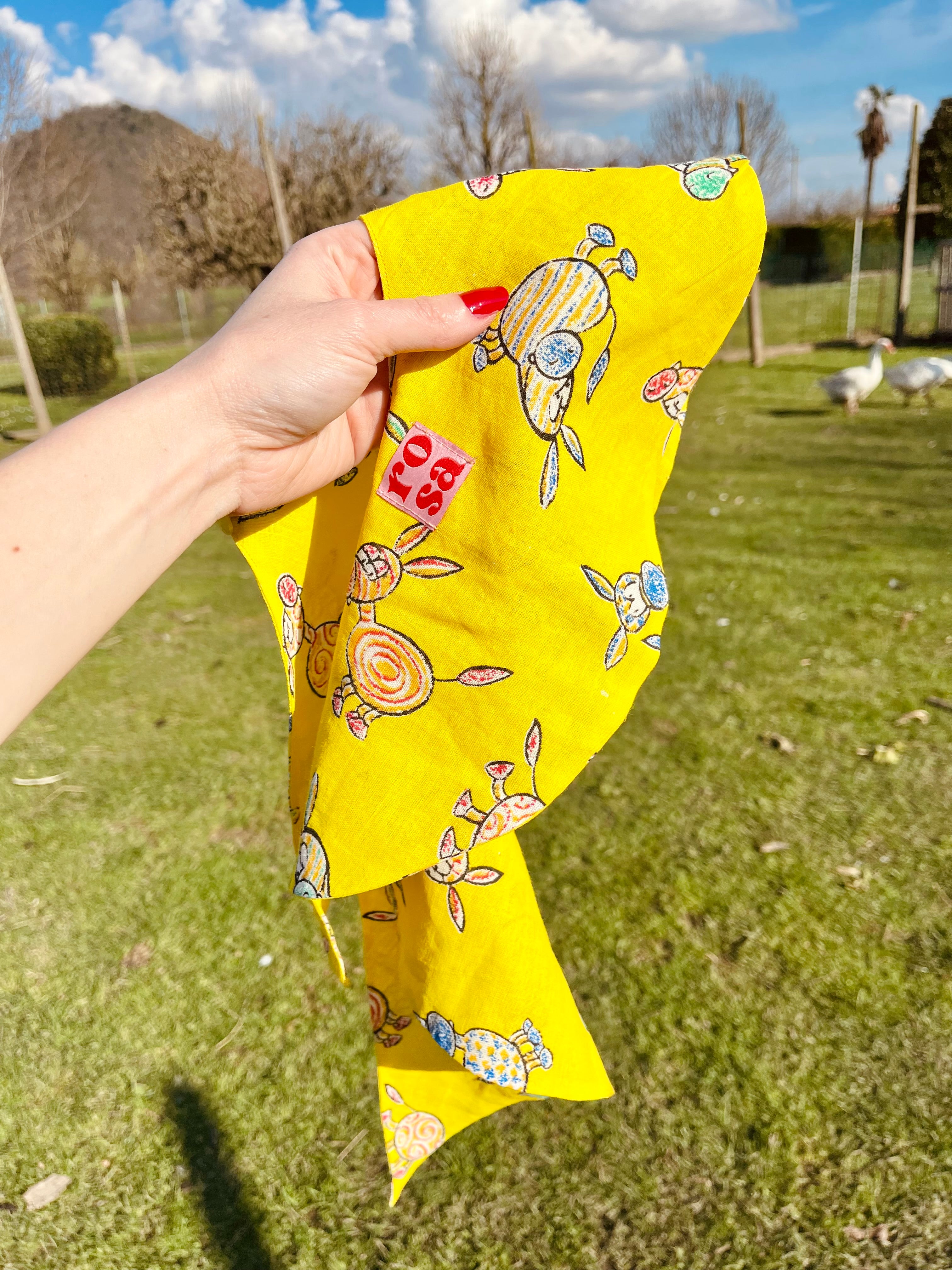 Colletto asinello a punta