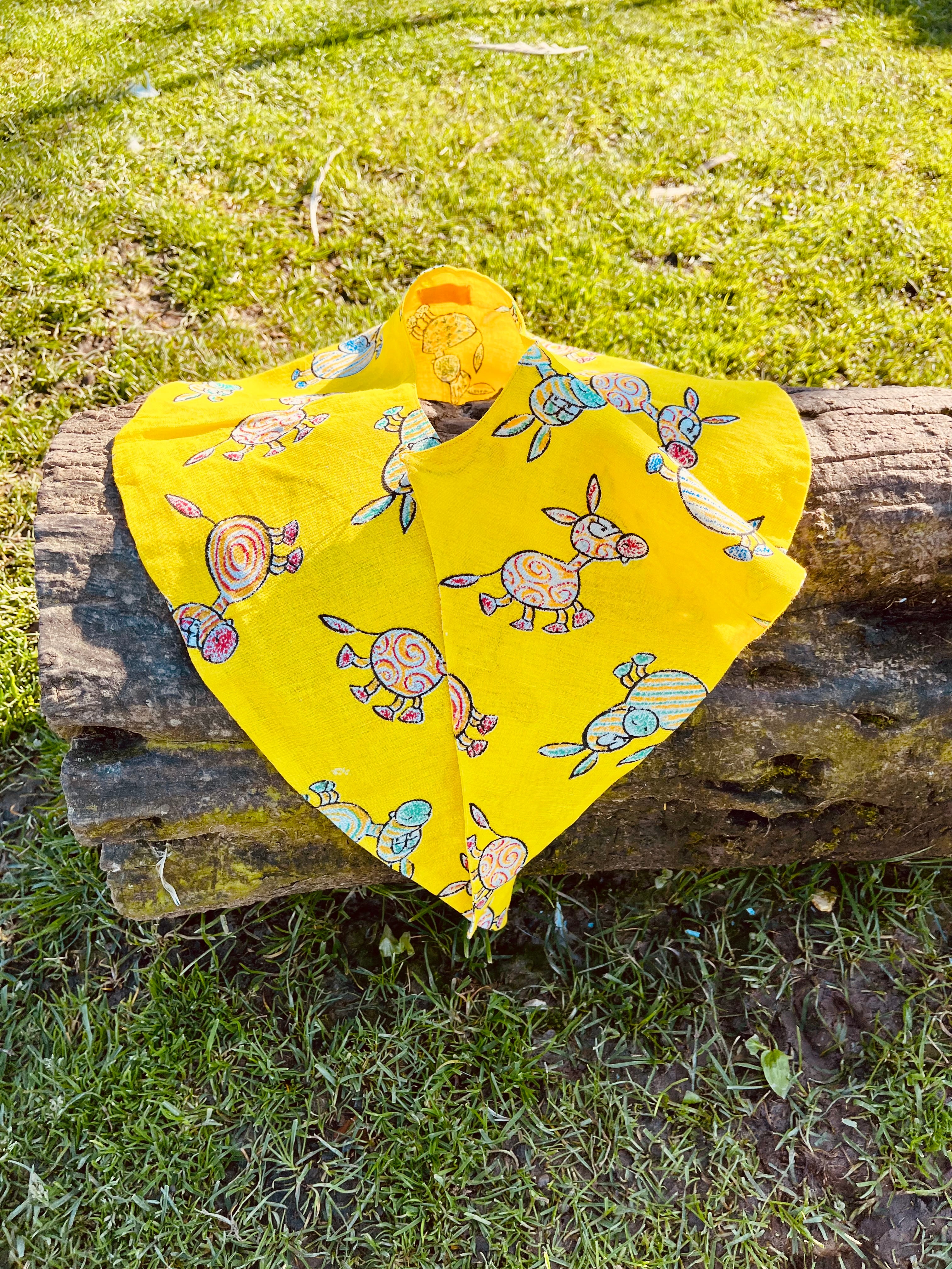 Colletto asinello a punta