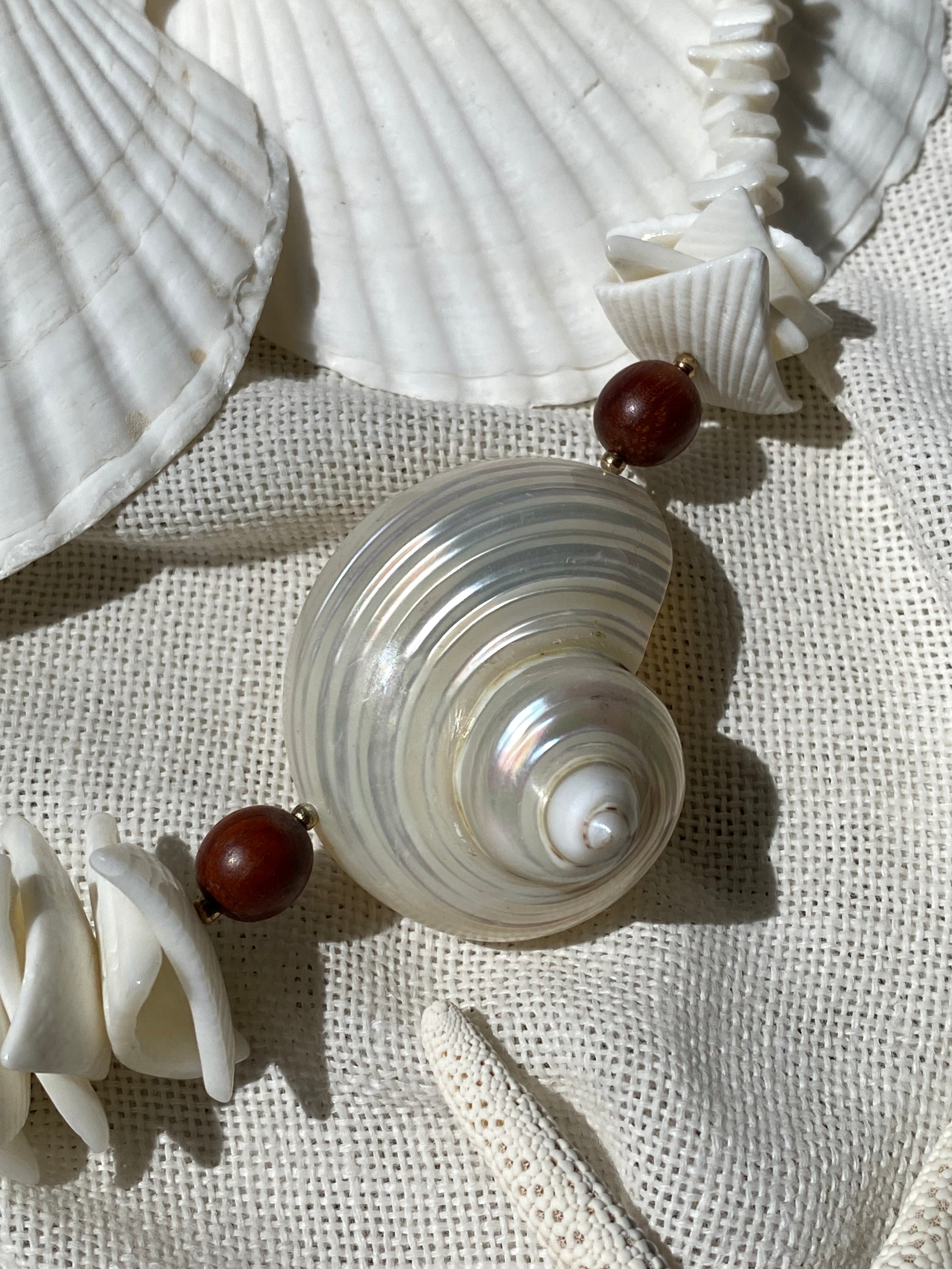 Conchiglia di Teti collana in vere conchiglie
