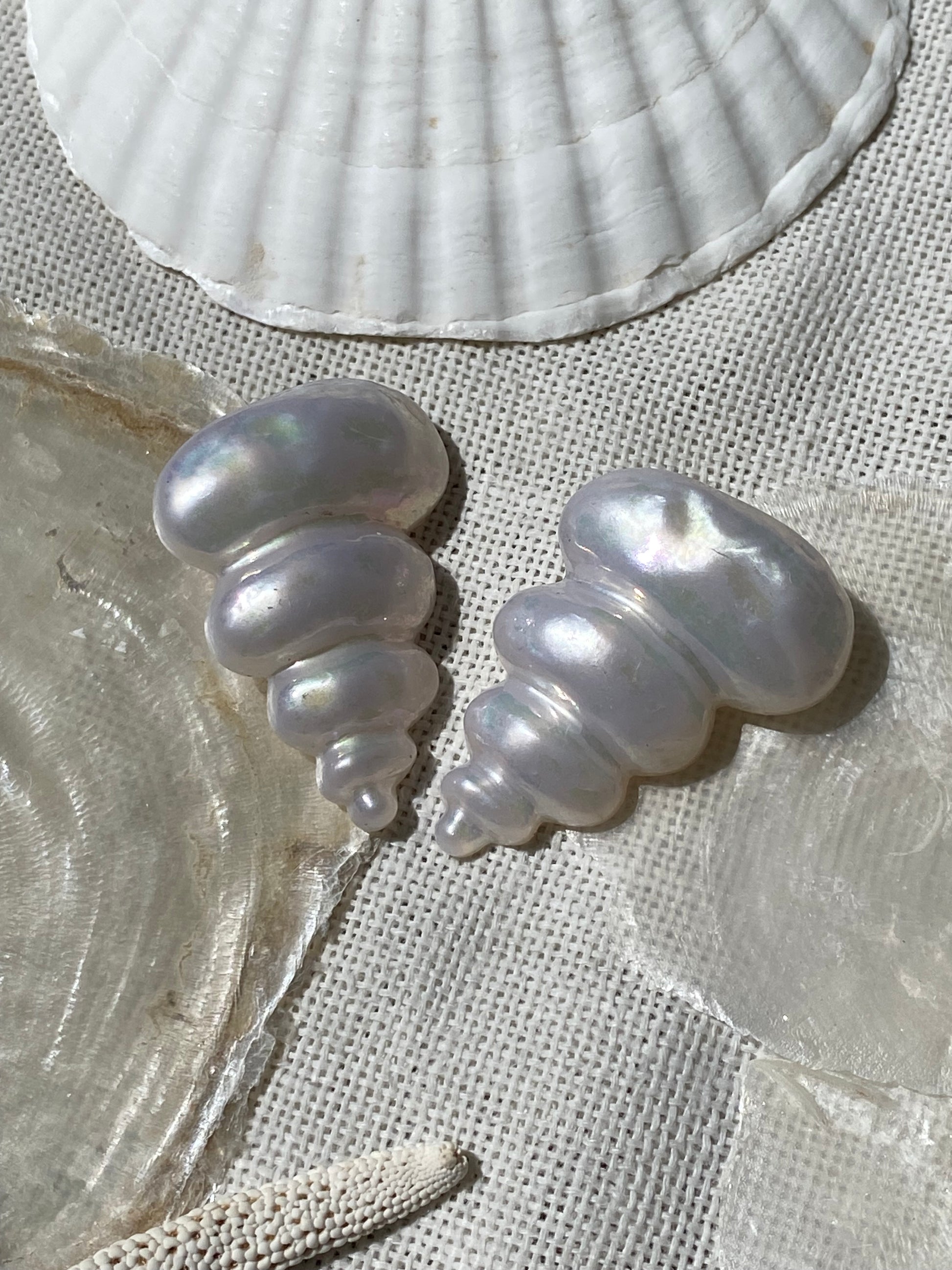 Nausicaa orecchini a conchiglia a clip