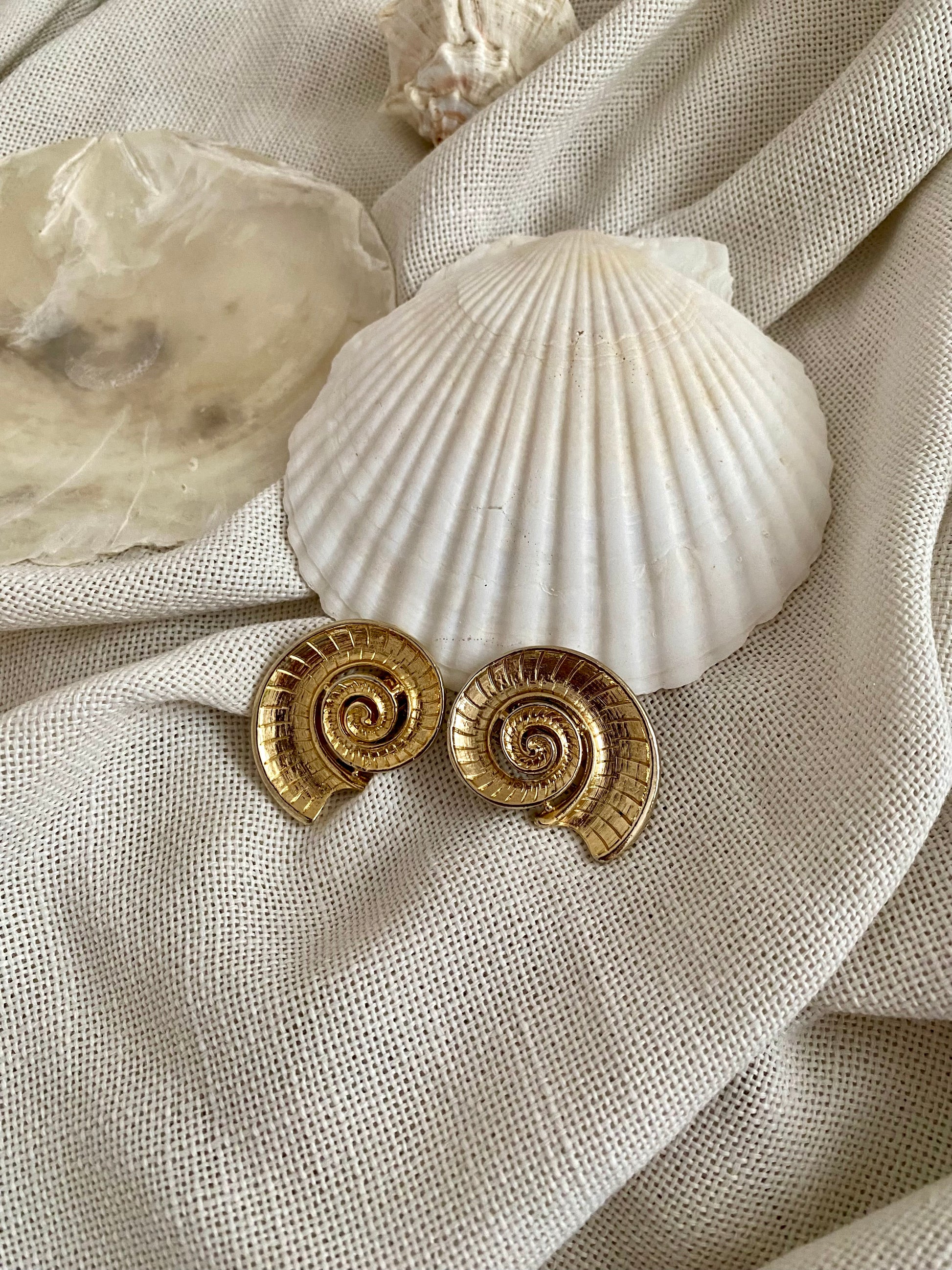 Ammonite orecchini a clip a conchiglia