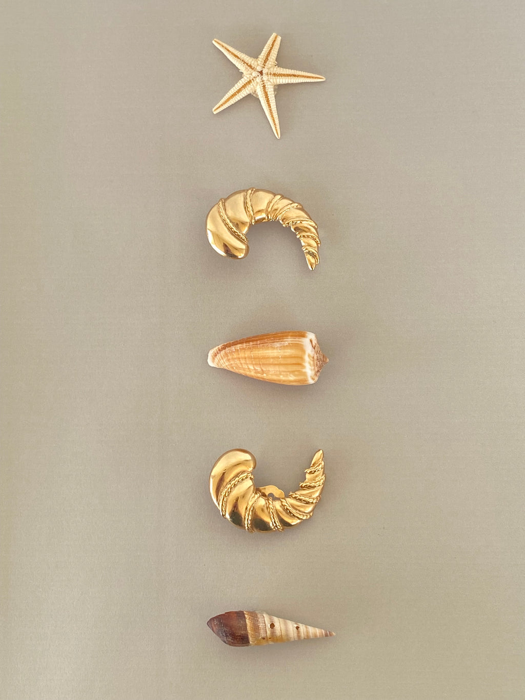 Nereide orecchini a clip a conchiglia by P&M Paris