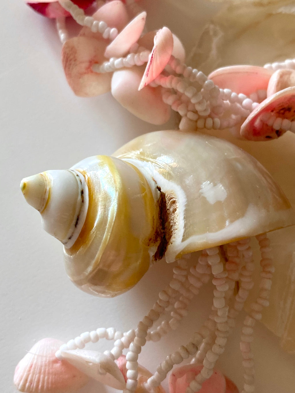 Marea collana con perle e conchiglie naturali