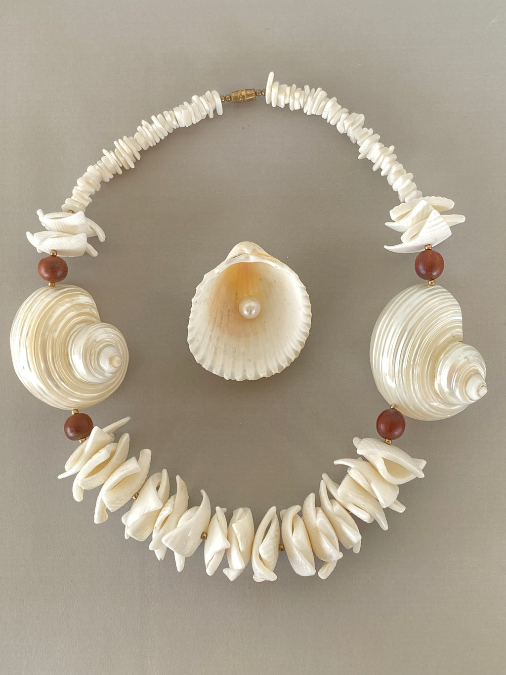 Conchiglia di Teti collana in vere conchiglie