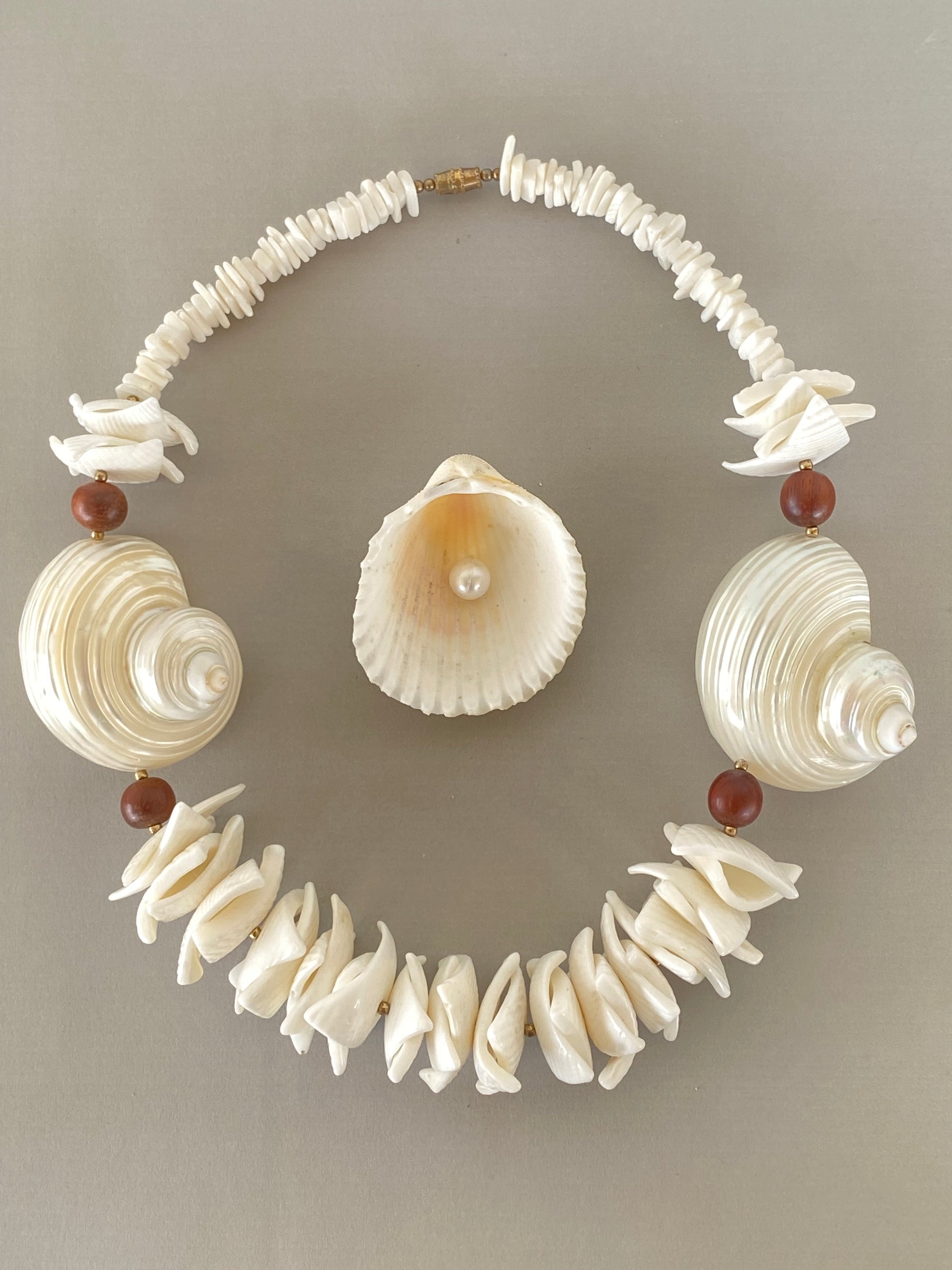 Conchiglia di Teti collana in vere conchiglie