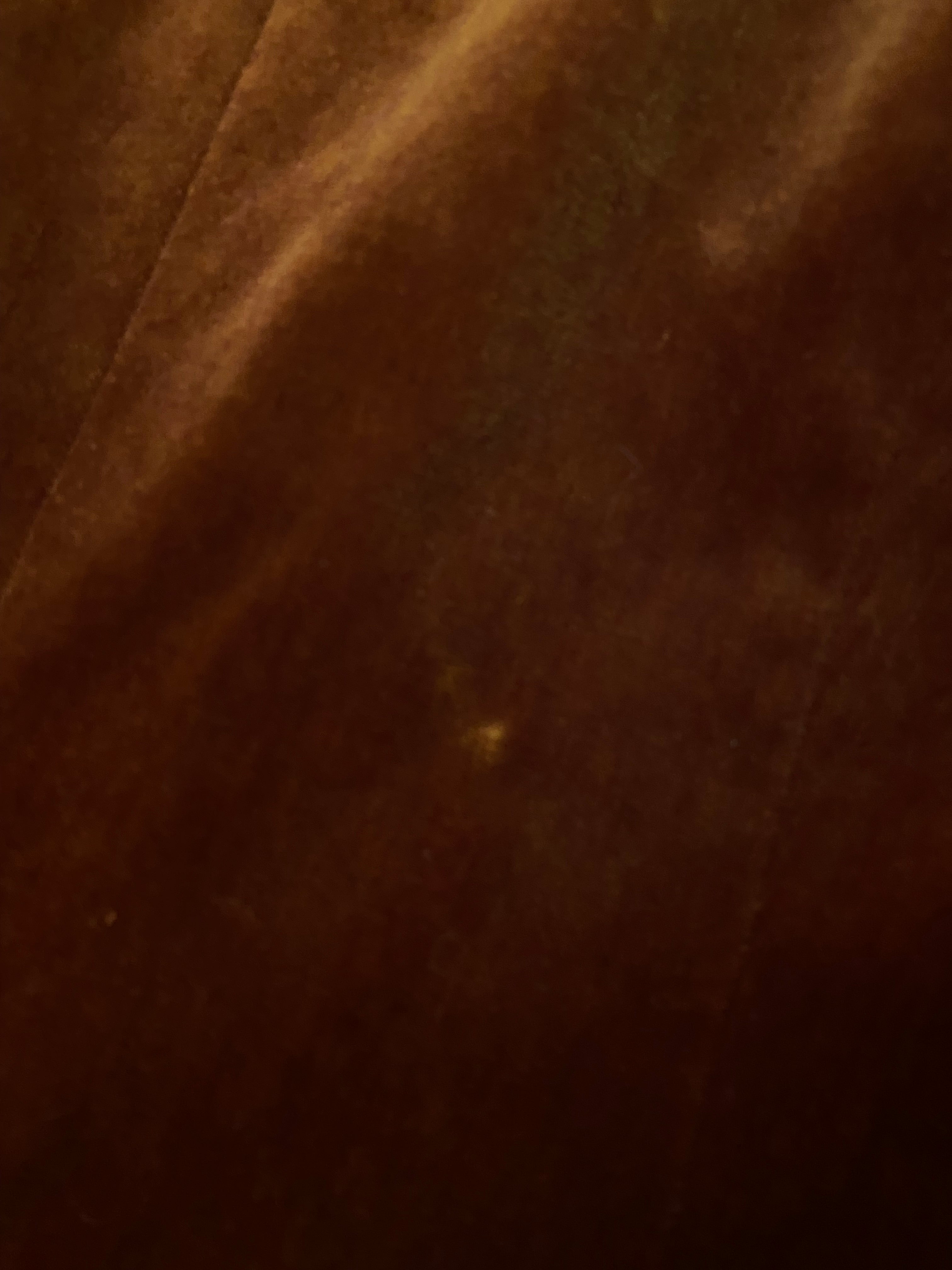 Blazer caramello in velluto