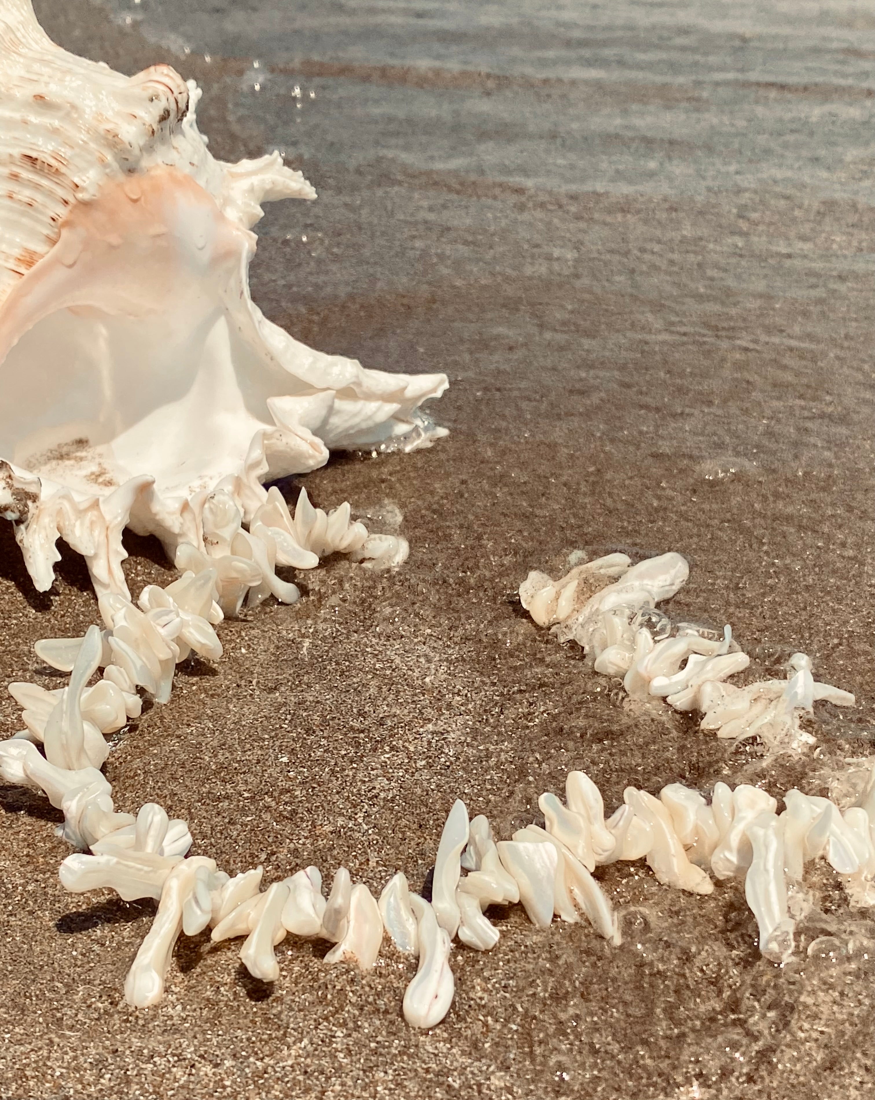 SIRENA Collana girocollo in vere conchiglie