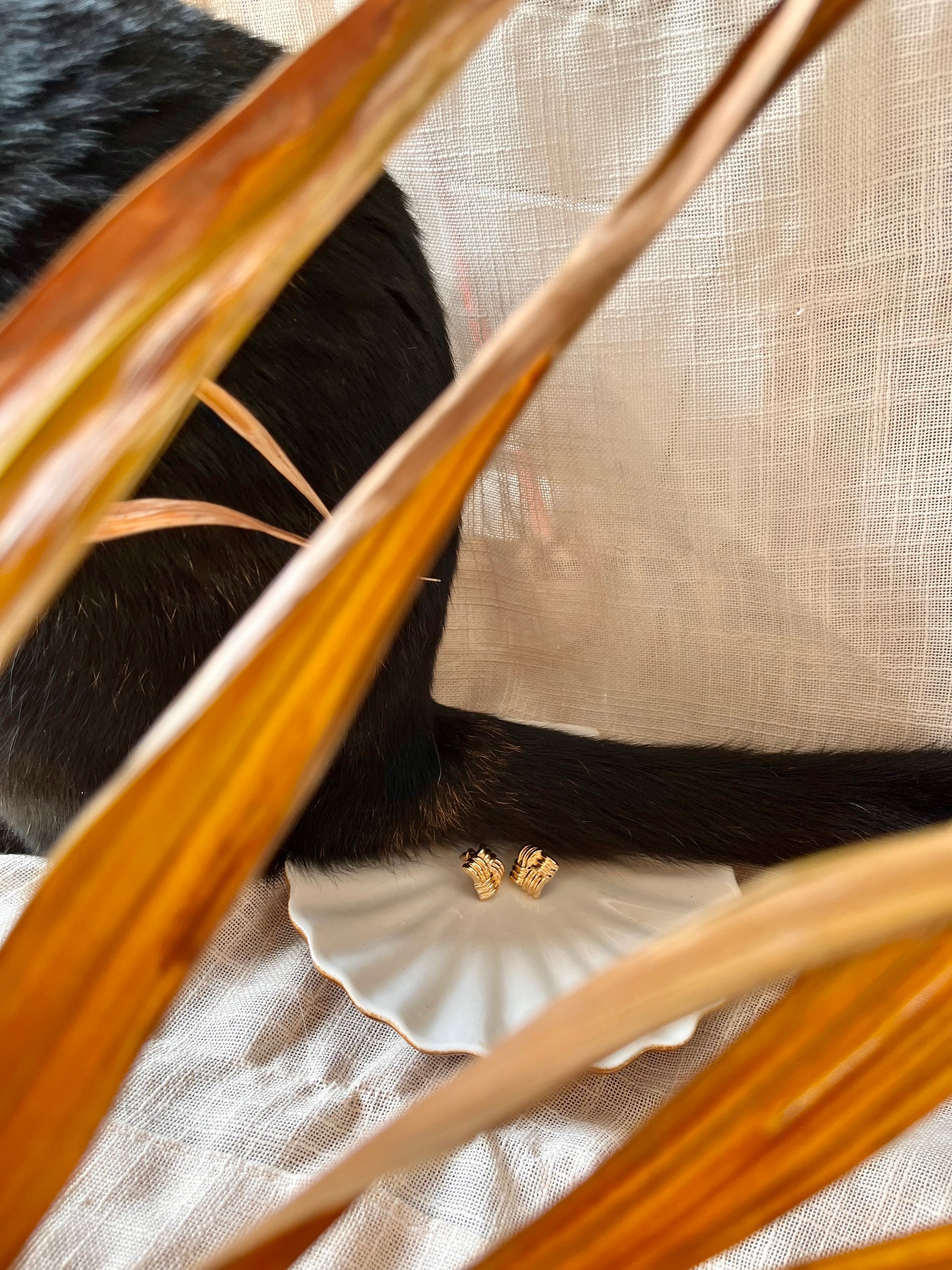 Boucles d'oreilles carrées arrondies