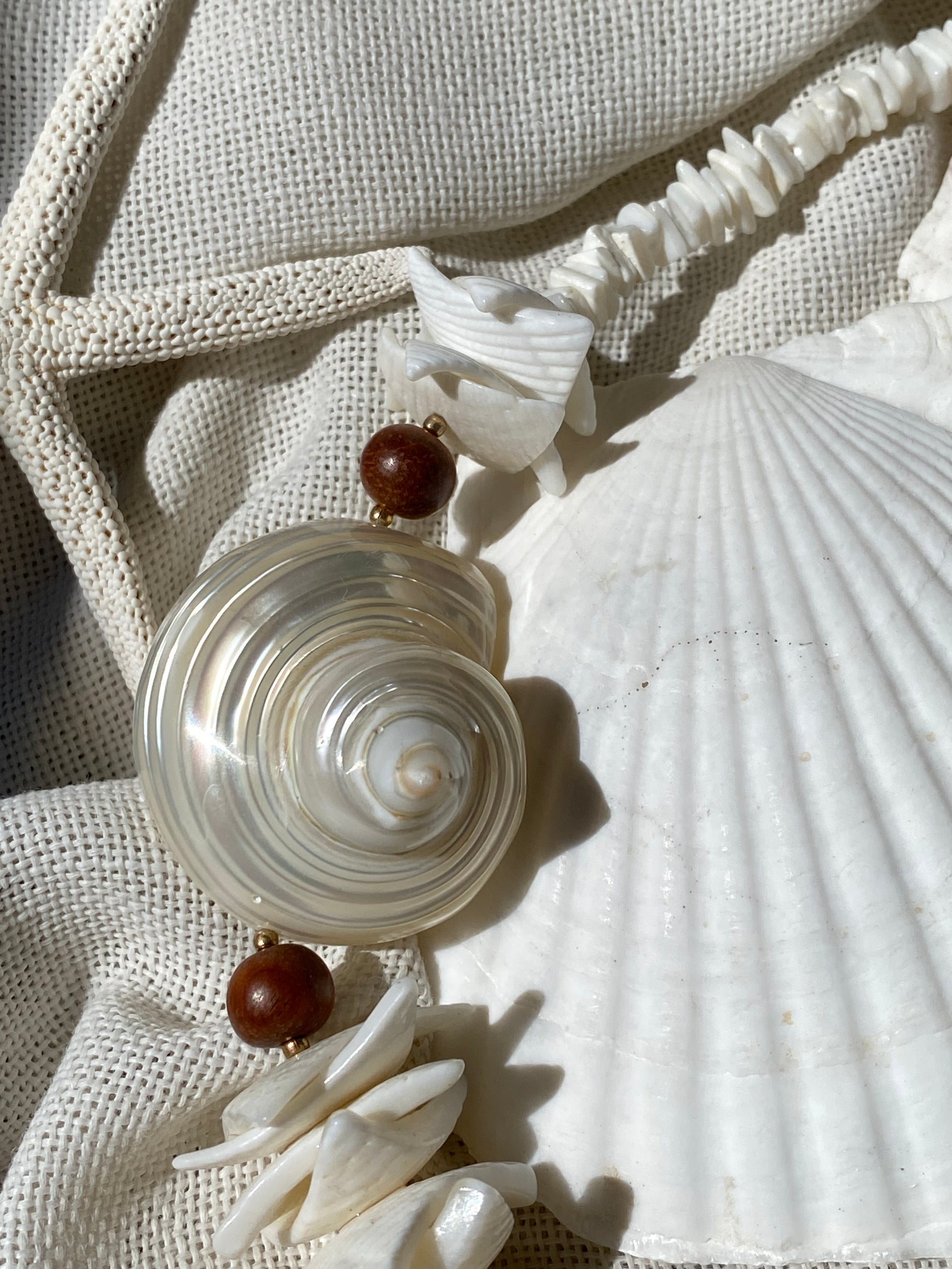 Conchiglia di Teti collana in vere conchiglie
