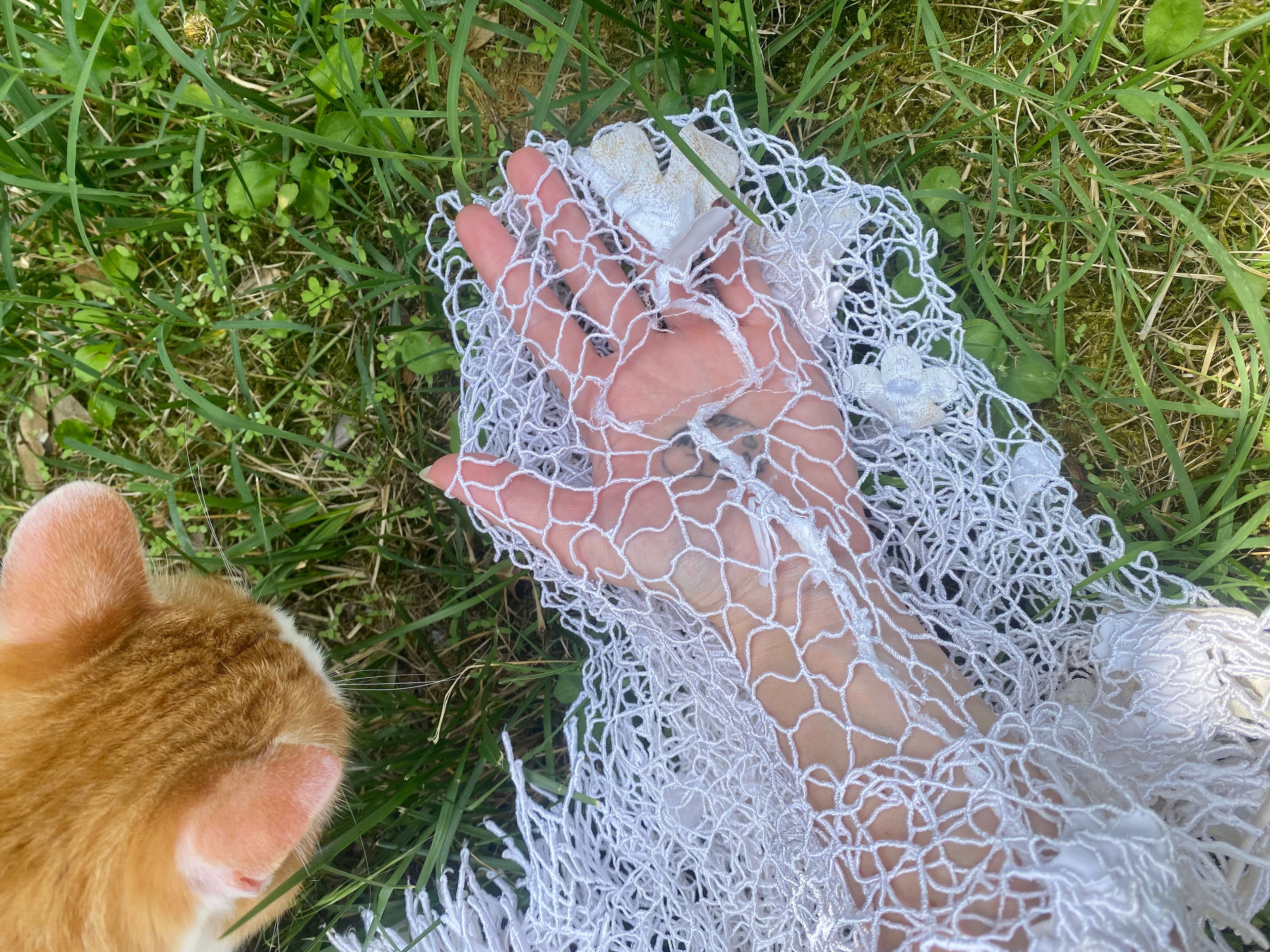 Flora copricostume in rete