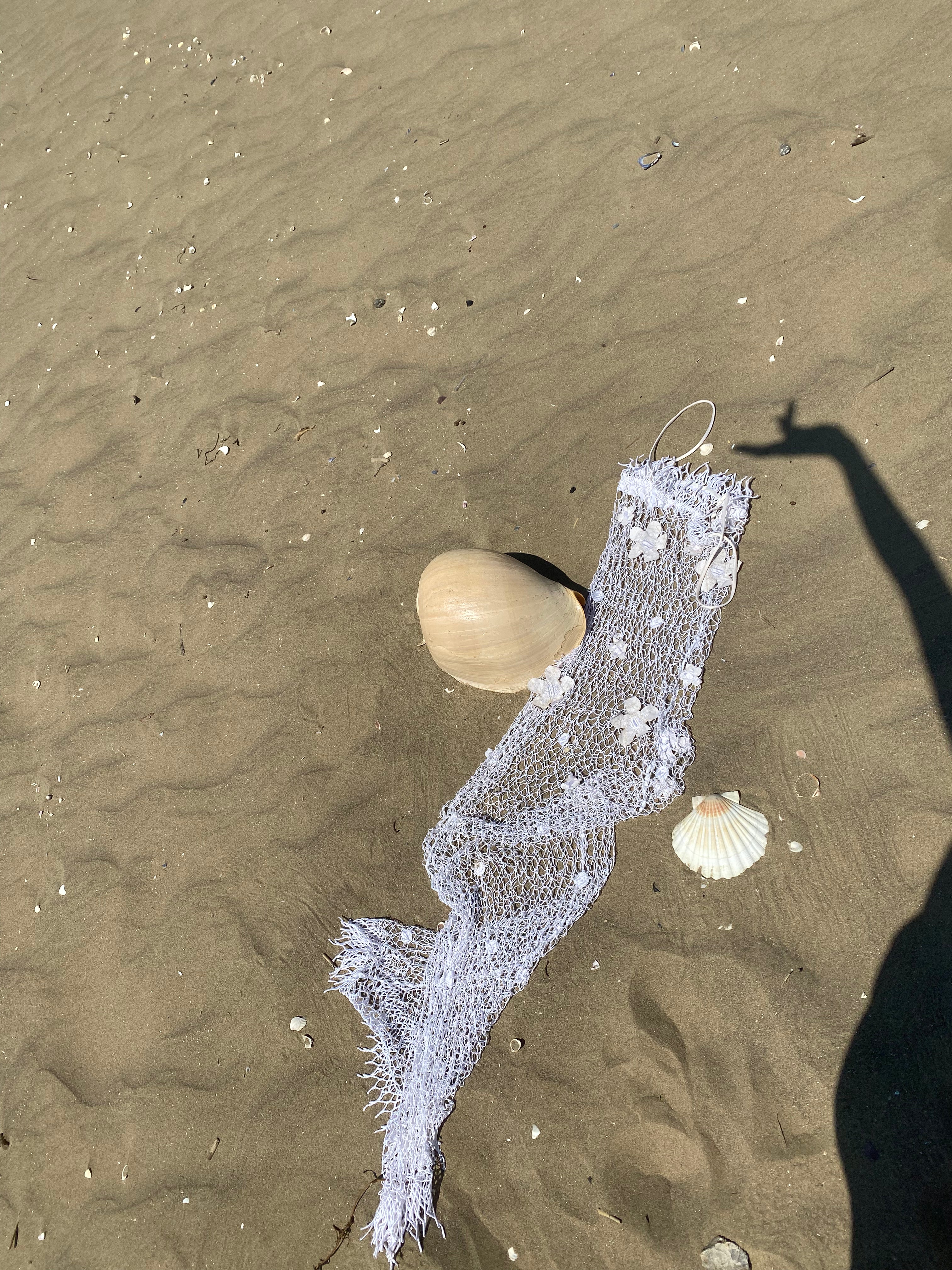 Flora copricostume in rete