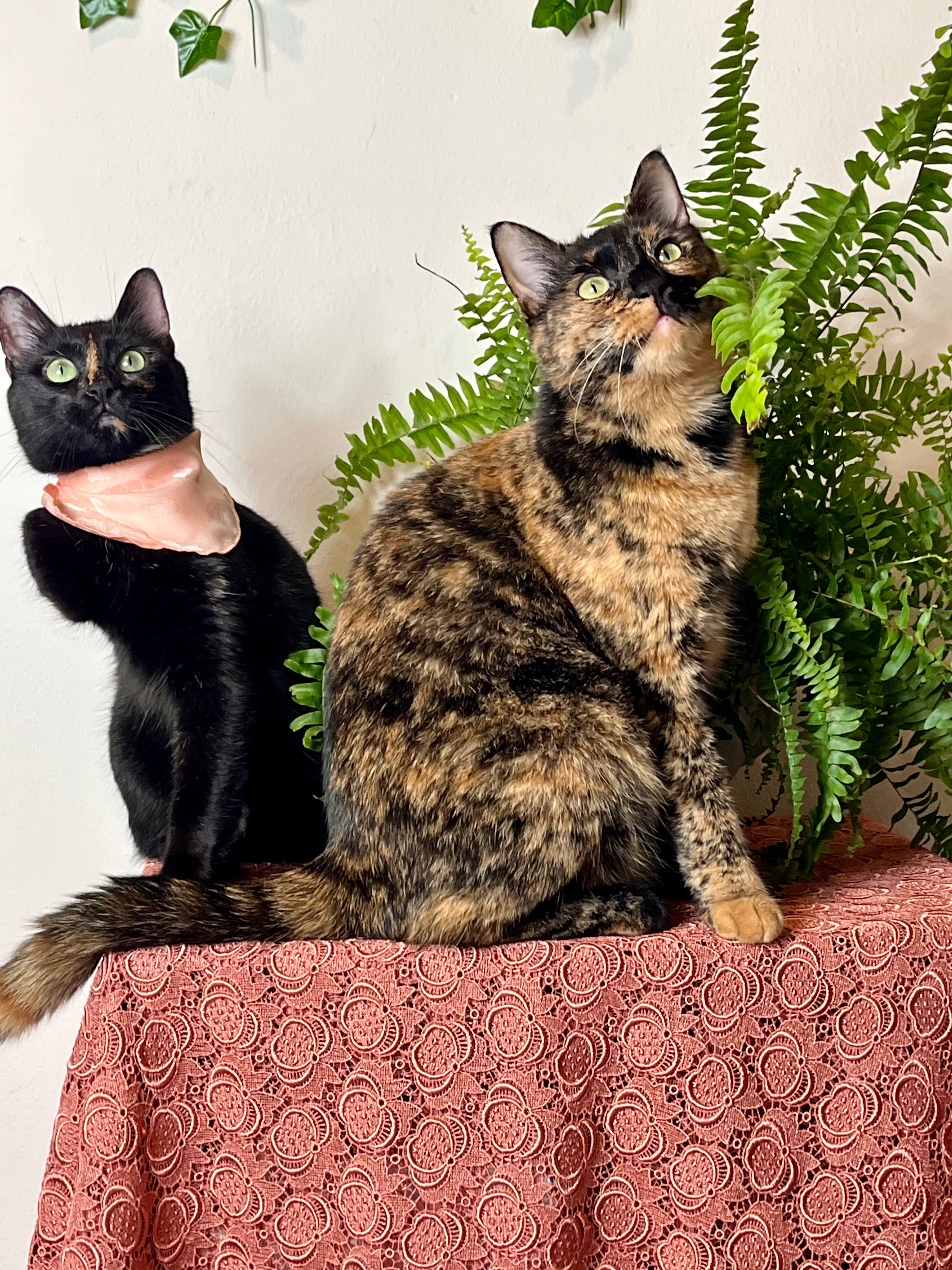 Fazzoletto rosa salmone in pura seta