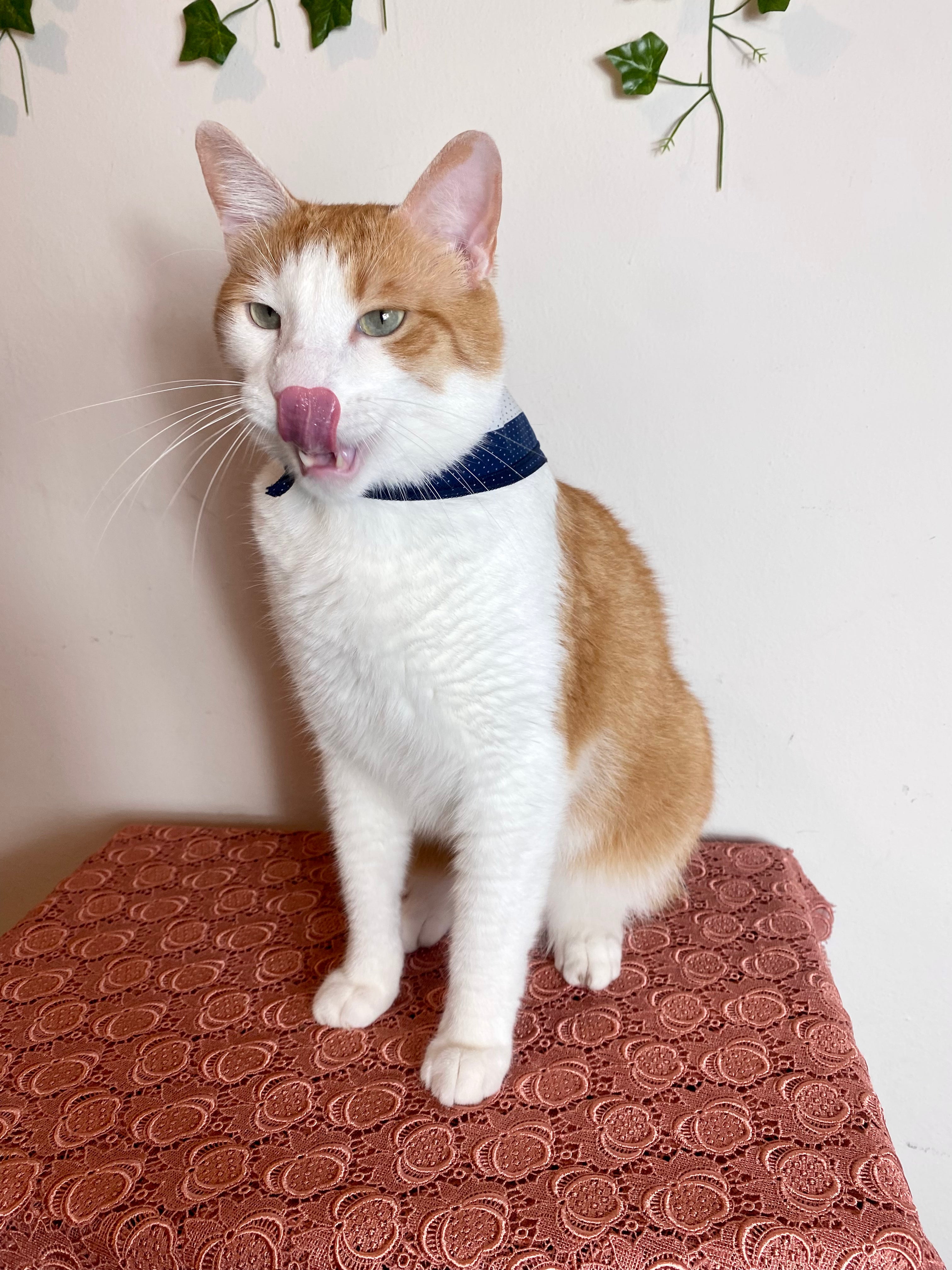 Fazzoletto in seta a pois