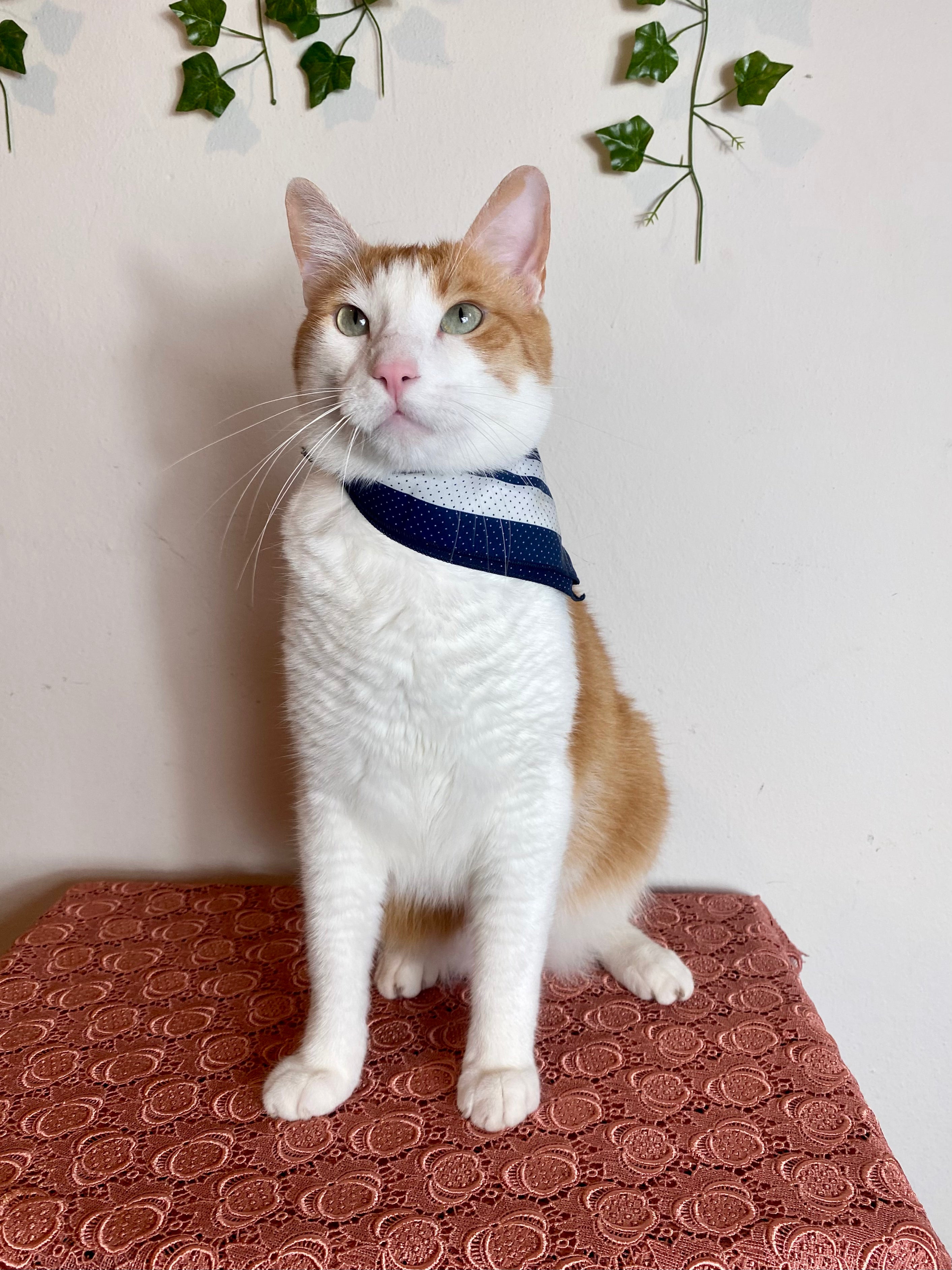 Fazzoletto in seta a pois