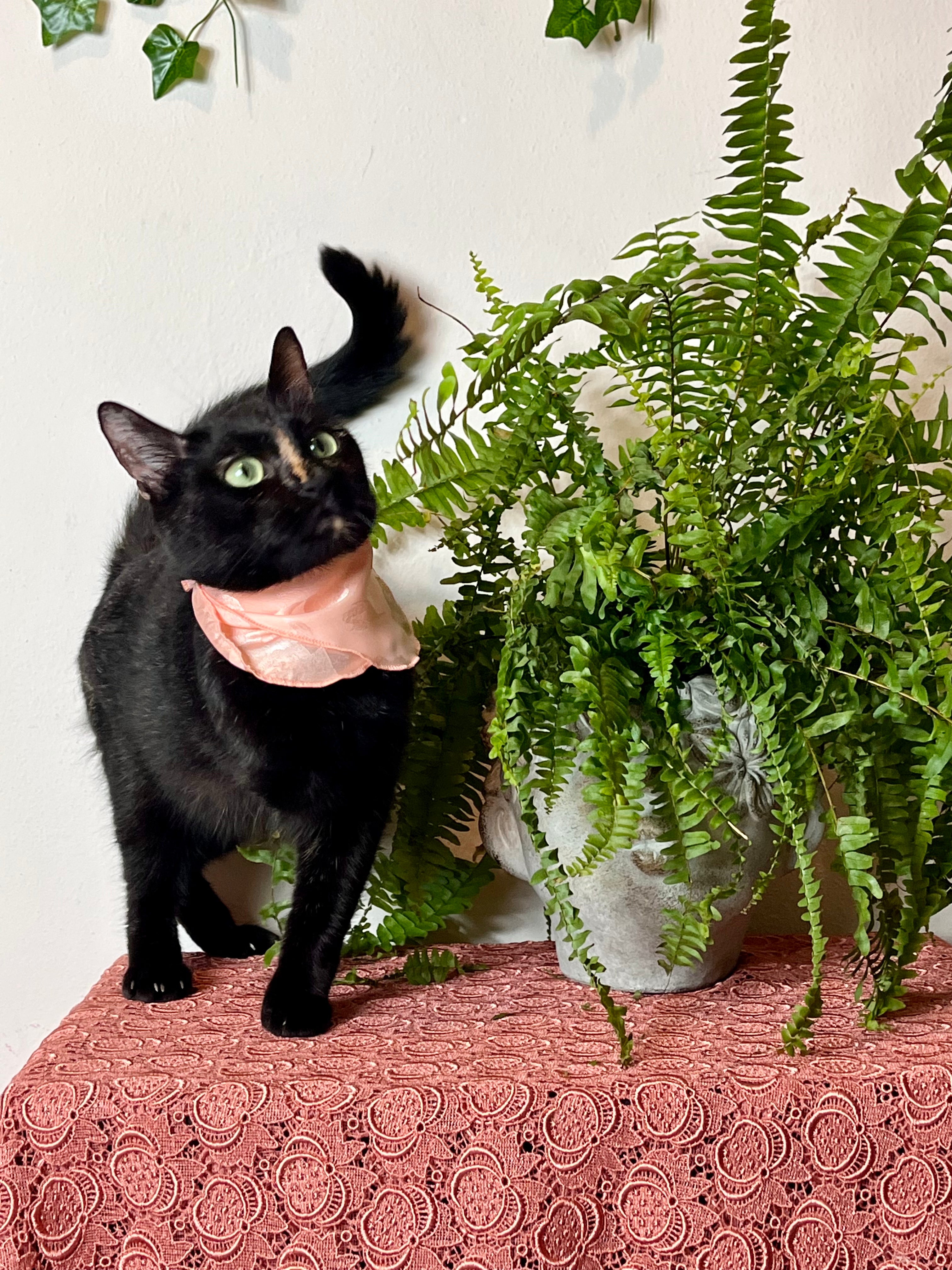 Fazzoletto rosa salmone in pura seta