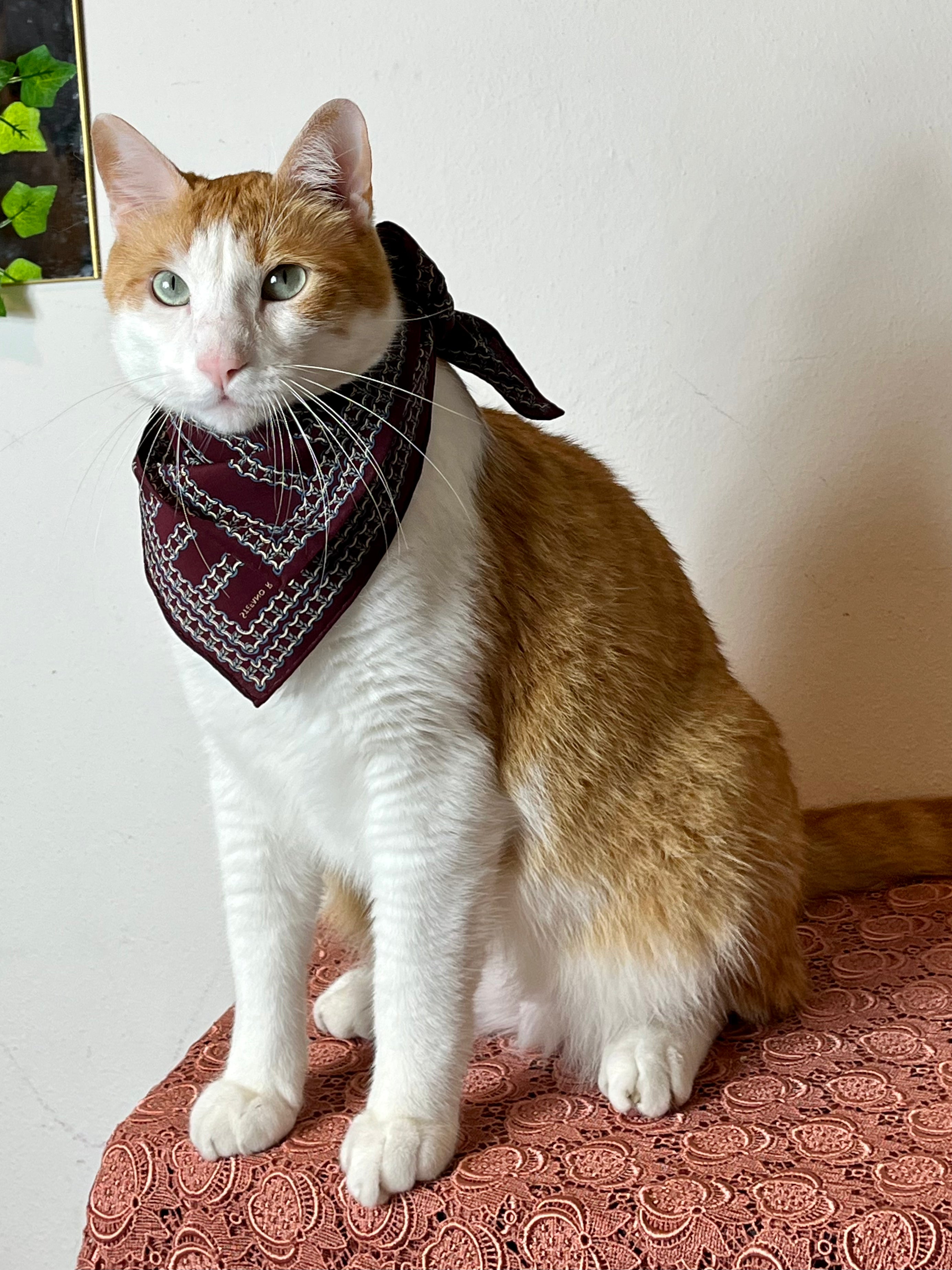 Fazzoletto in pura seta Borgogna