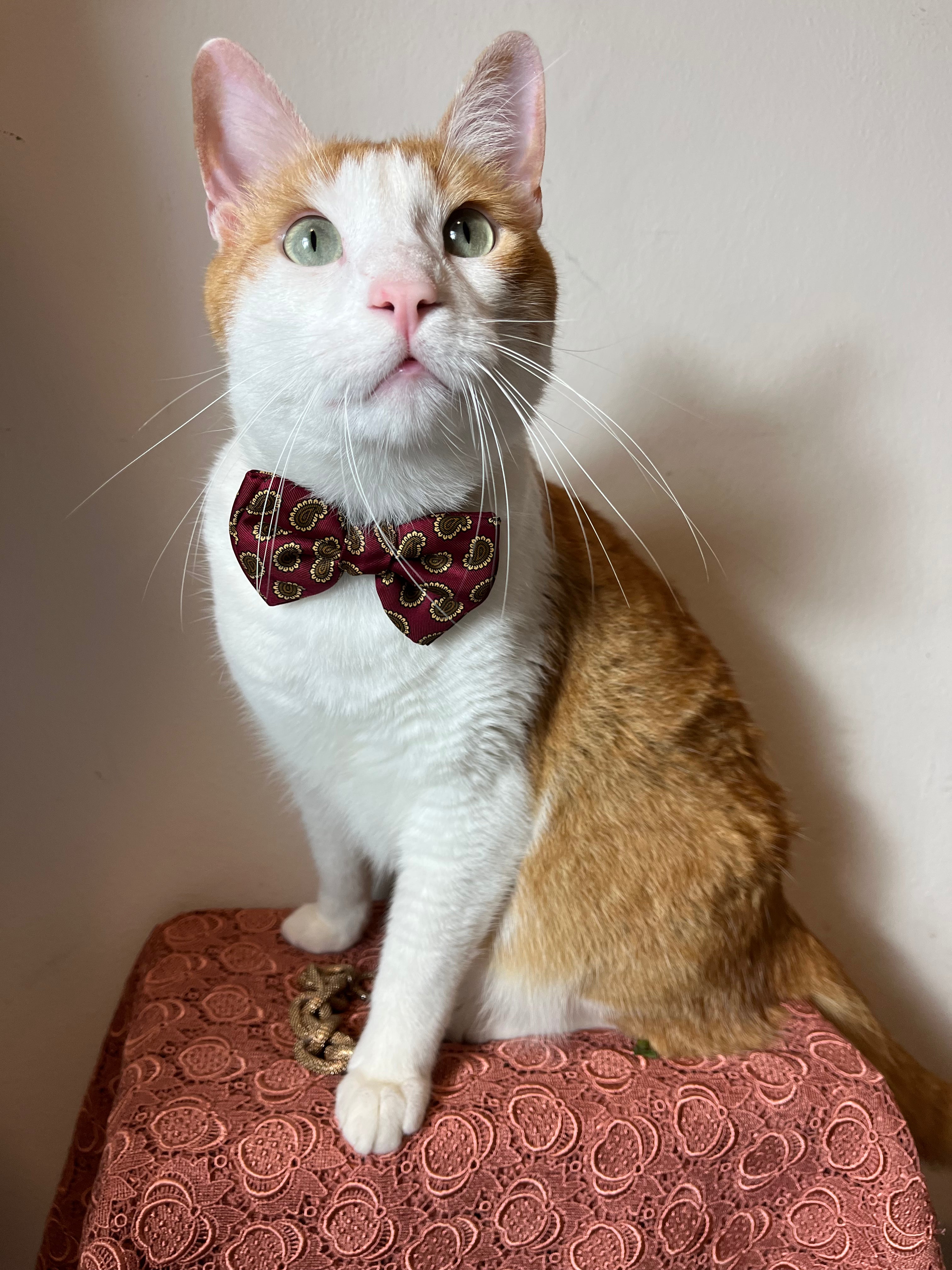 Noeud papillon Armani en pure soie baroque