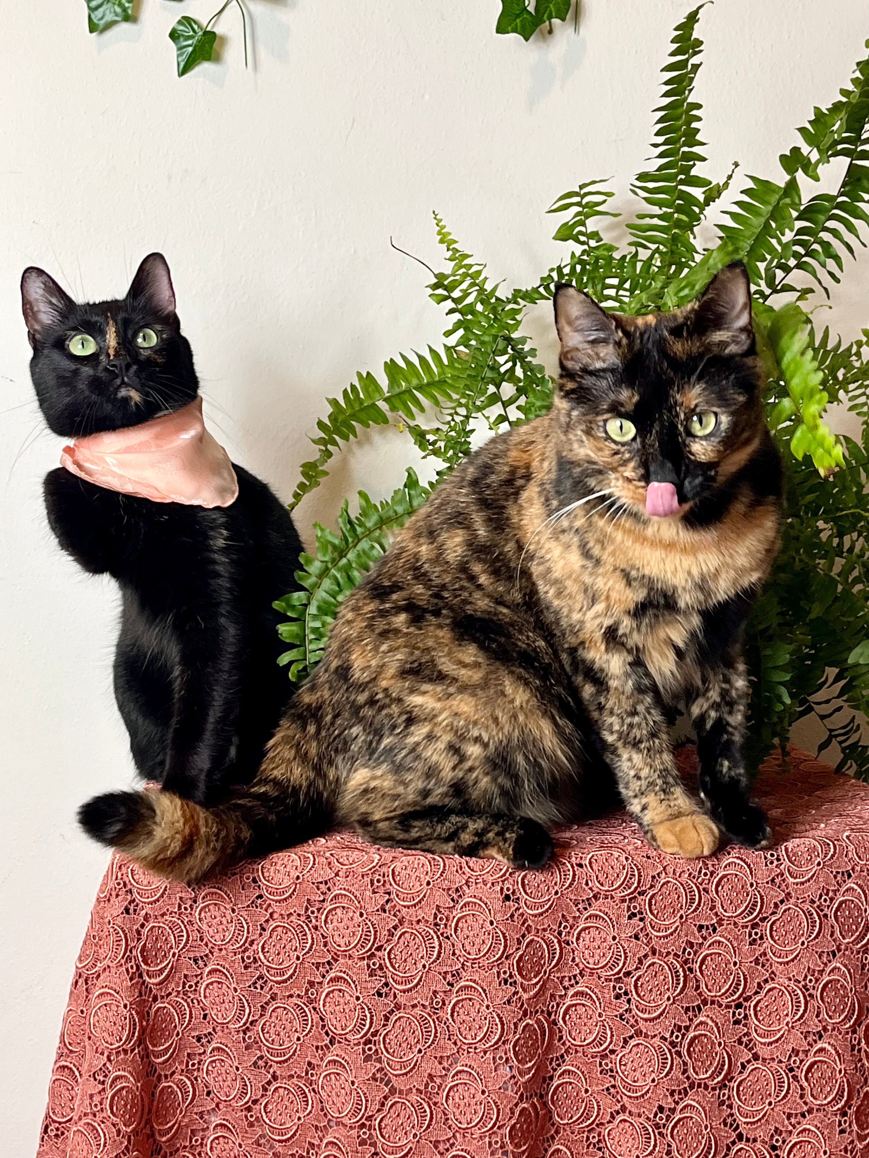 Fazzoletto rosa salmone in pura seta