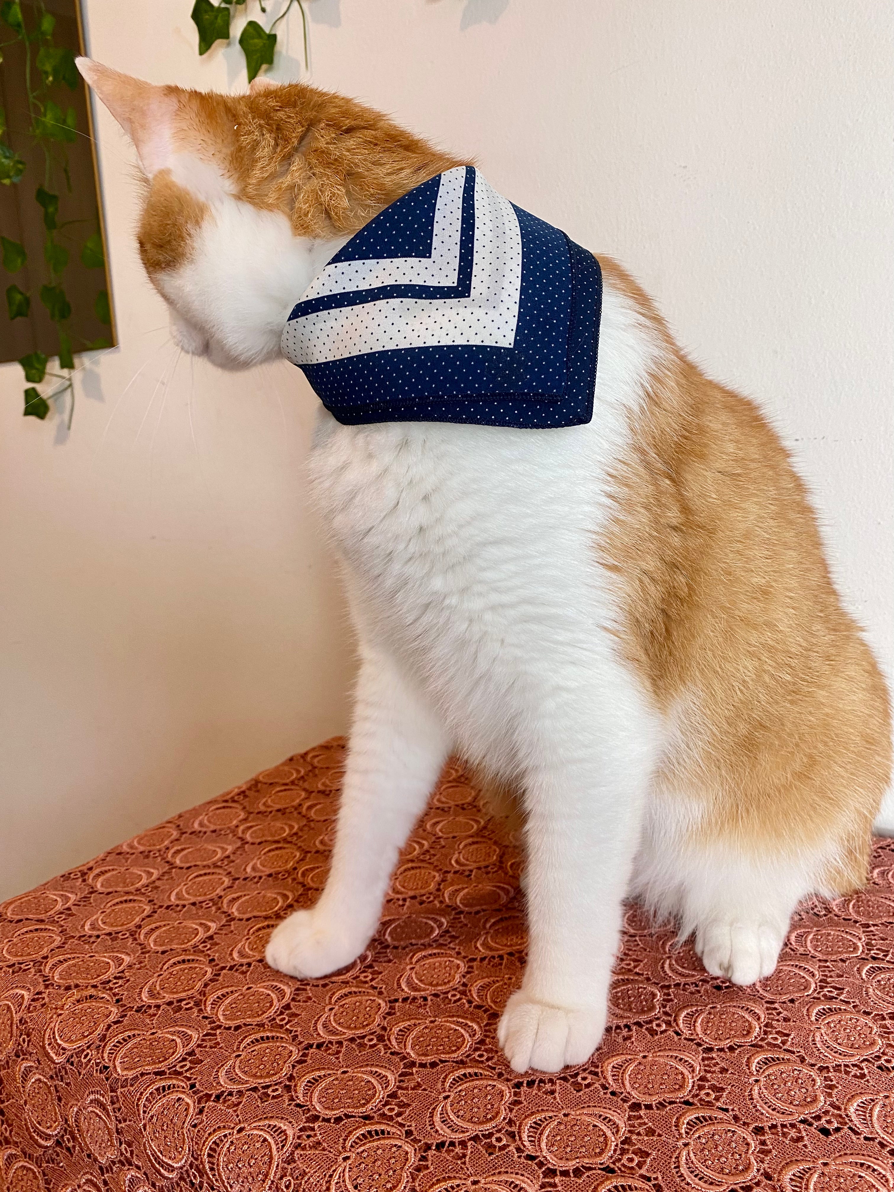 Fazzoletto in seta a pois