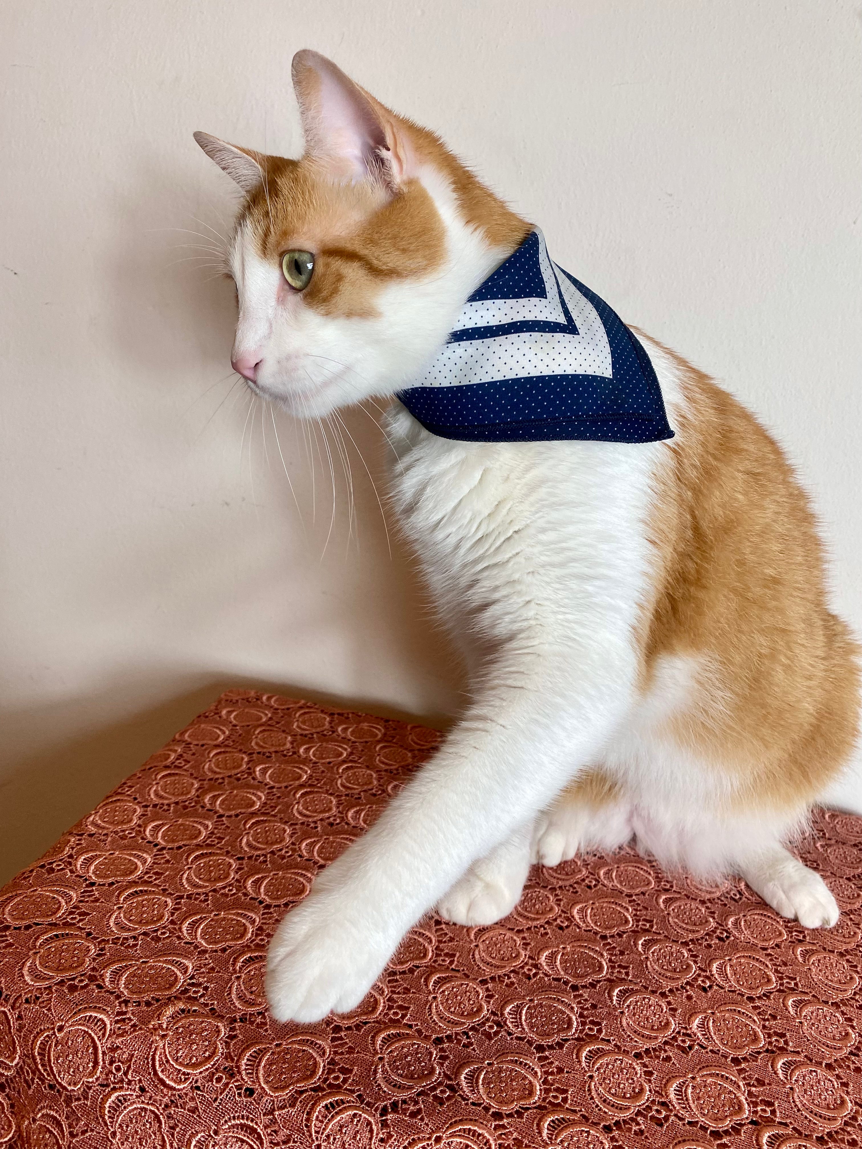 Fazzoletto in seta a pois