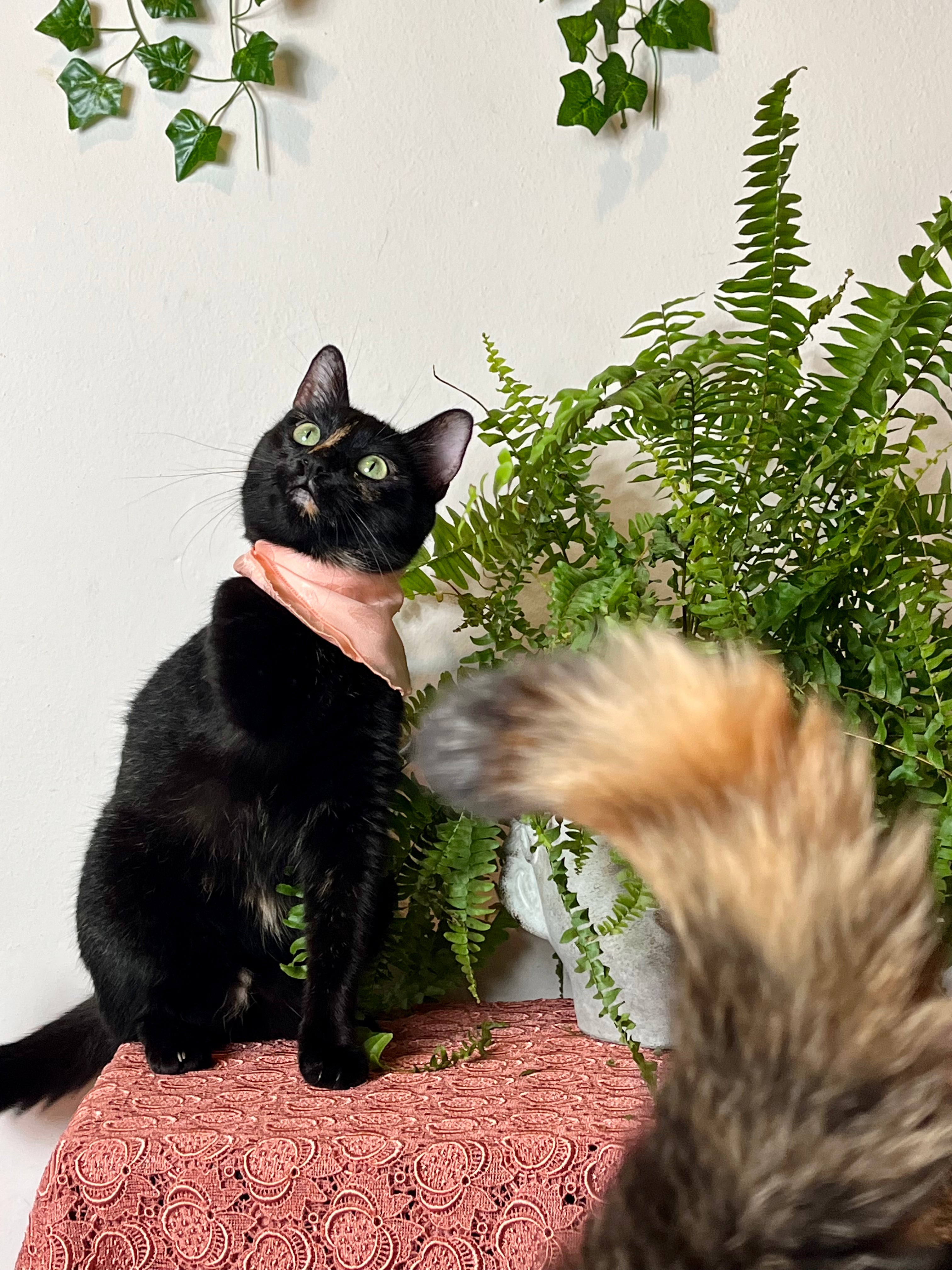 Fazzoletto rosa salmone in pura seta