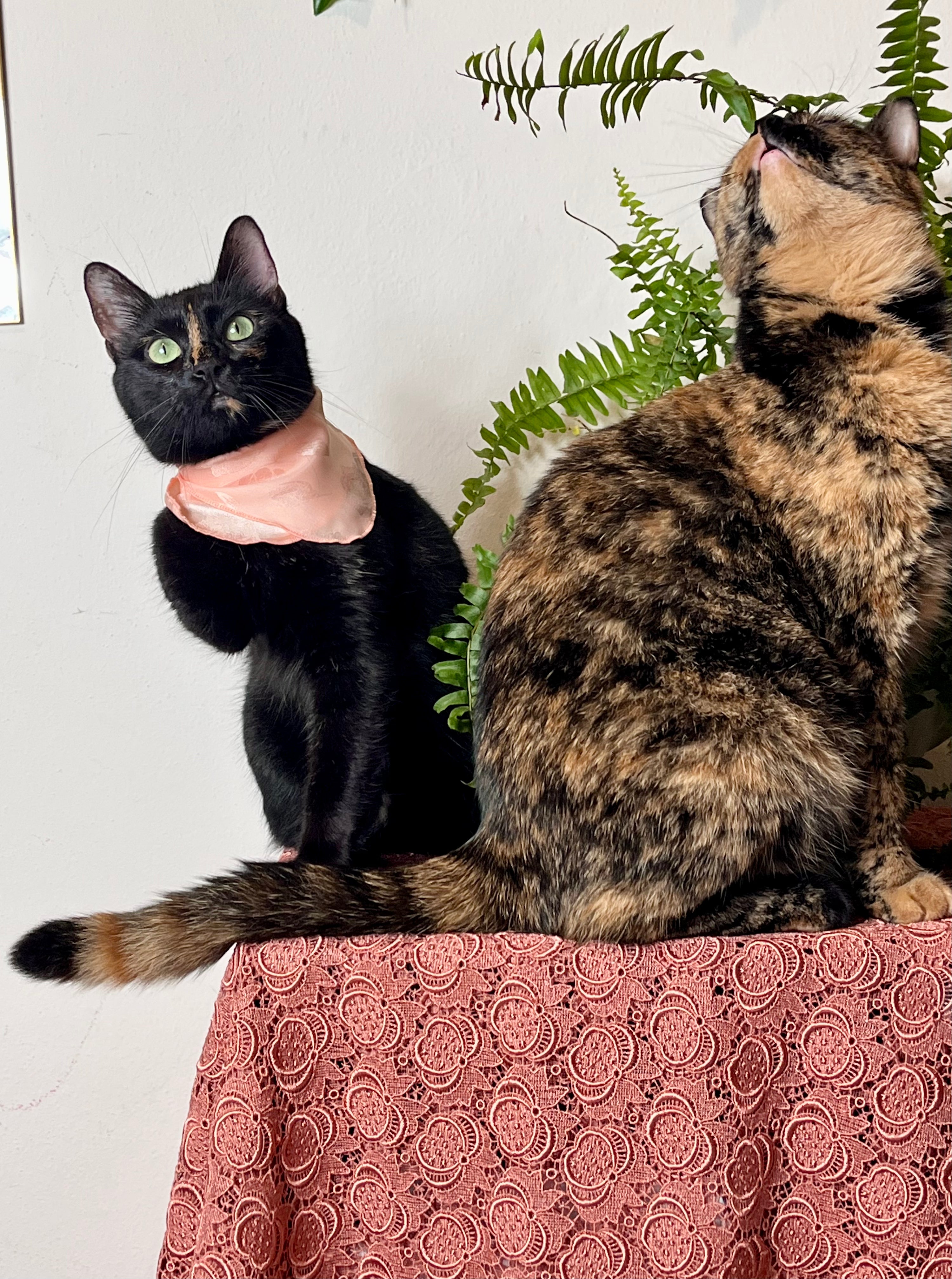 Fazzoletto rosa salmone in pura seta